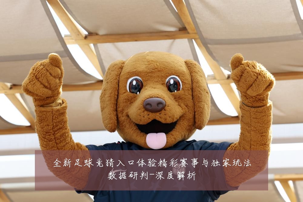 全新足球竞猜入口体验精彩赛事与独家玩法数据研判-深度解析